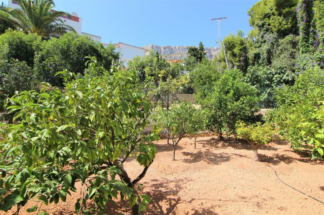 Villavenus Calpe Bagian luar foto