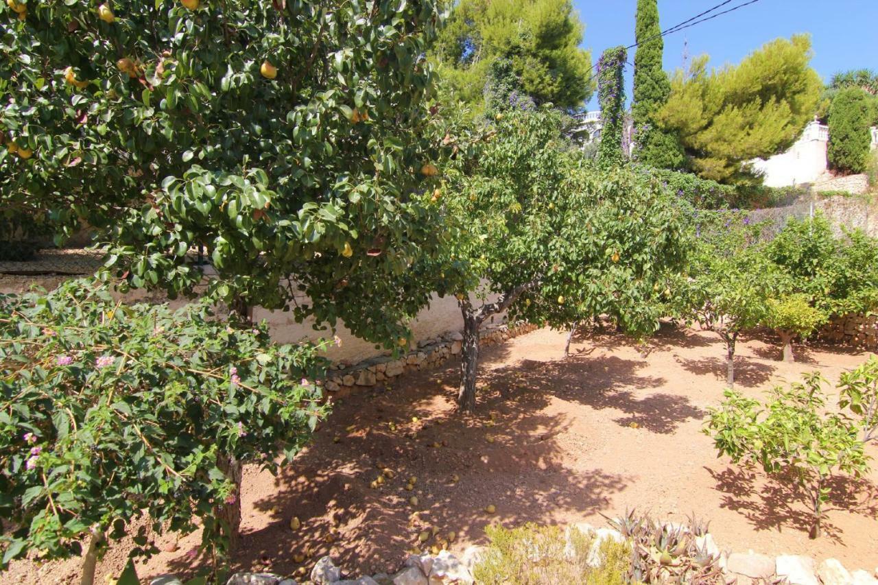 Villavenus Calpe Bagian luar foto